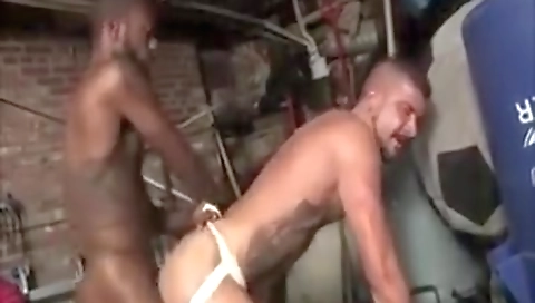 The trainer and thele