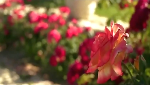 Sexy girl gets her face and typle