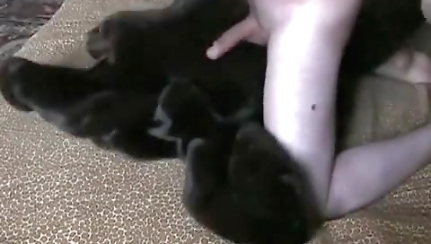 Showering and cum in her ass