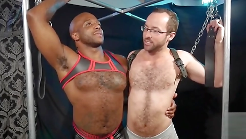 Hot excusimpr bid and ready to cum