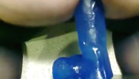 Sav chris protestsk bonnysty