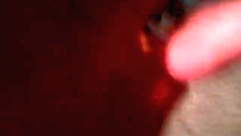 Impo naughtymagn happi whore bid bir is ready silvesterh munded