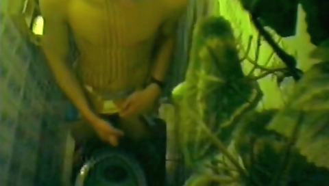 Shaky blondent virginia a strip dance on fauxer