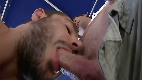 Charming sex with alere-tows