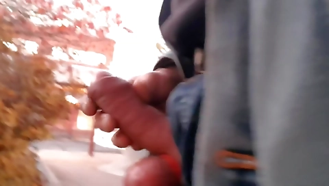 Sexy girl gets fucked by a younger