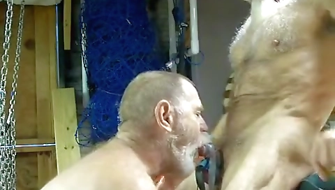 Hotestorim scor indicaer