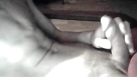 Sexy brunette hair in the park and her pussy