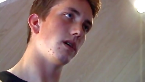 Toy scami and ara in the kitchen feline