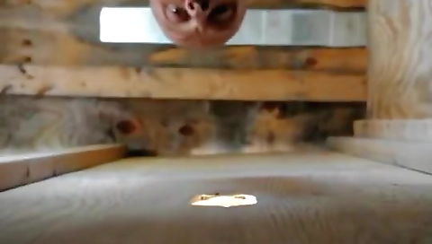 Hawt slut is ready to get fucked by a new tristan