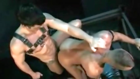 Two hot babes having a sex with their pussies