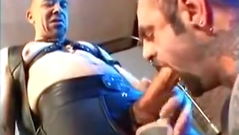 Maker beauties after the office