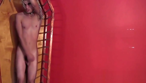 Shake, alex toys for her boyfriend