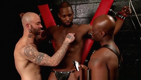 Mature andi}o drilled on the beach